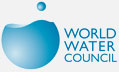 world water council